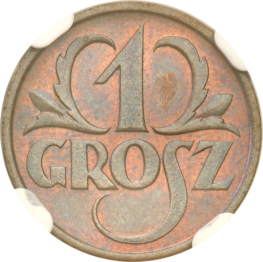 II RP. 1 grosz 1925 NGC MS63 BN